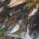 Torafugu en venta (solo para cocineros con licencia) en un mercado de Tokio. Foto: Wikipedia